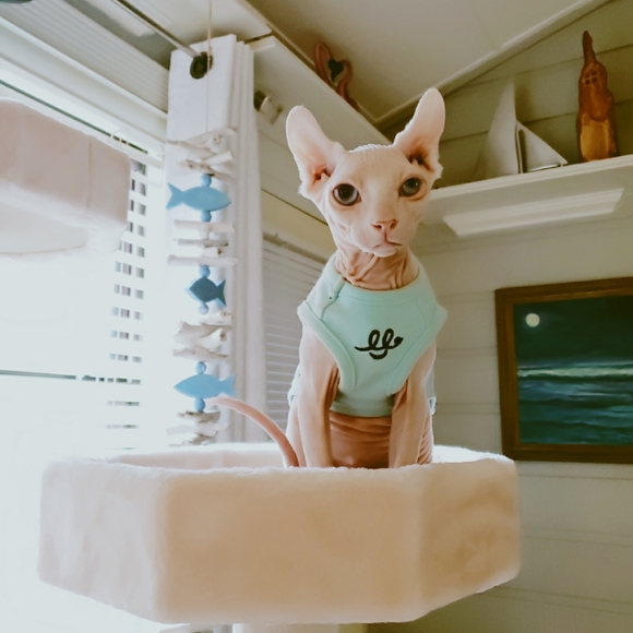 are you having your best day possible? - Picture 4 of 15